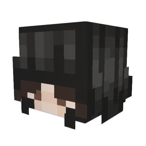 littleDays_ Minecraft avatar head, 3D render