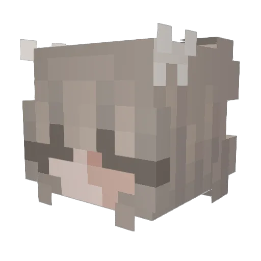 littleNADIA Minecraft avatar head, 3D render