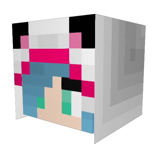 littleXD123 Minecraft avatar head, 3D render