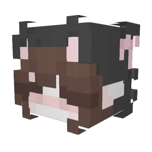 little_Dog05 Minecraft avatar head, 3D render