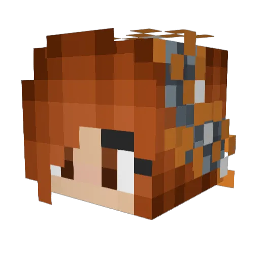 little_house Minecraft avatar head, 3D render