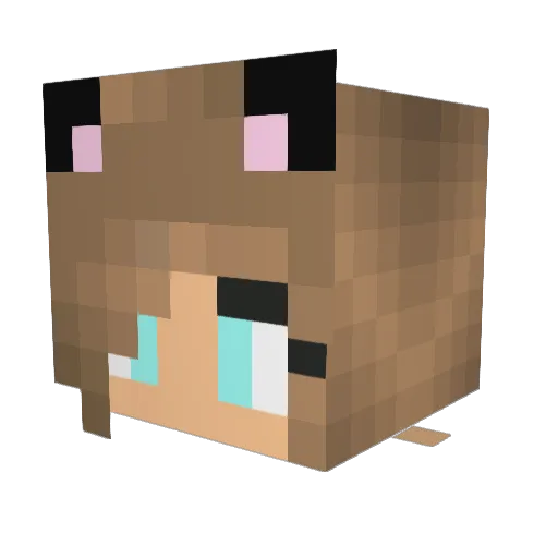 little_lea2005 Minecraft avatar head, 3D render