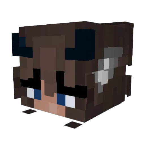 little_potatos Minecraft avatar head, 3D render
