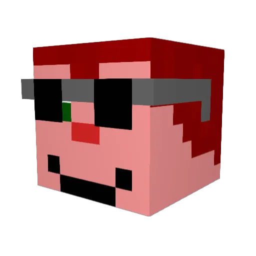 little_snitch Minecraft avatar head, 3D render