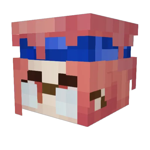 little_squids Minecraft avatar head, 3D render