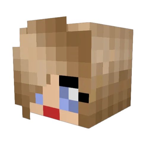 little_tanker Minecraft avatar head, 3D render
