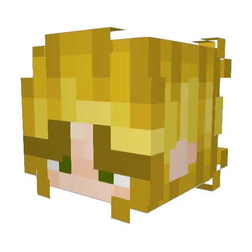 little_wingg Minecraft avatar head, 3D render