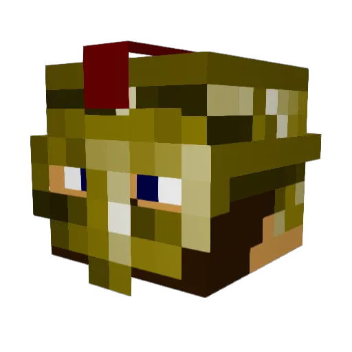 littleb2056 Minecraft avatar head, 3D render