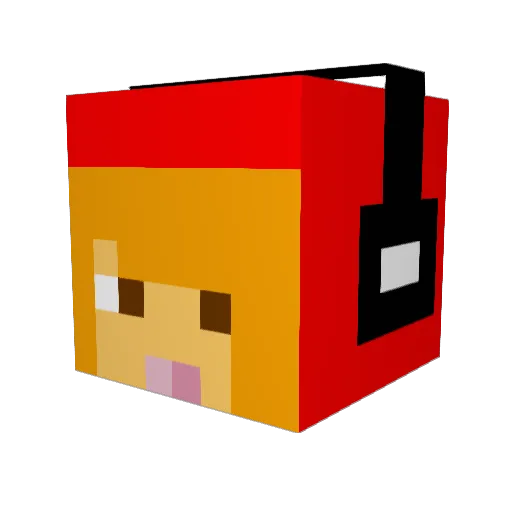littlebee9 Minecraft avatar head, 3D render