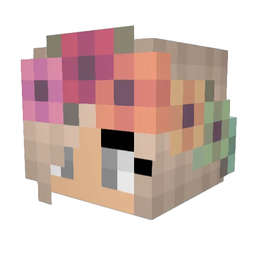 littlebird18 Minecraft avatar head, 3D render