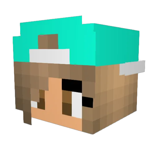 littlebug11 Minecraft avatar head, 3D render