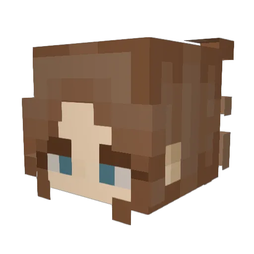 littlebugaboo Minecraft avatar head, 3D render