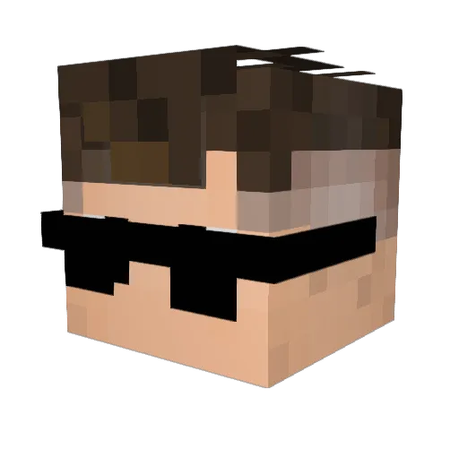 littlebulb1 Minecraft avatar head, 3D render