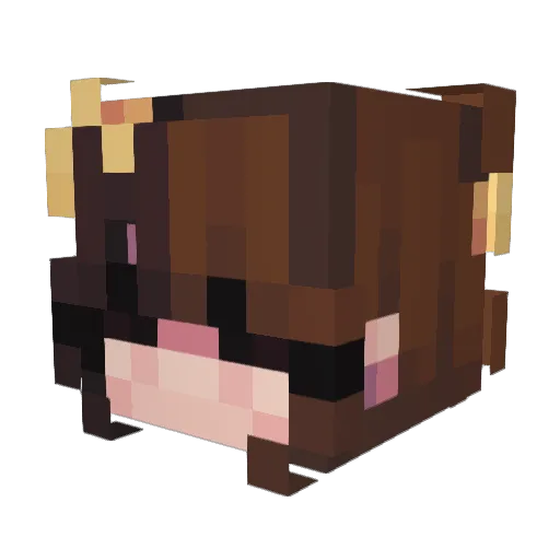 littlecello2003 Minecraft avatar head, 3D render