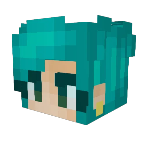 littlecowboyhat Minecraft avatar head, 3D render