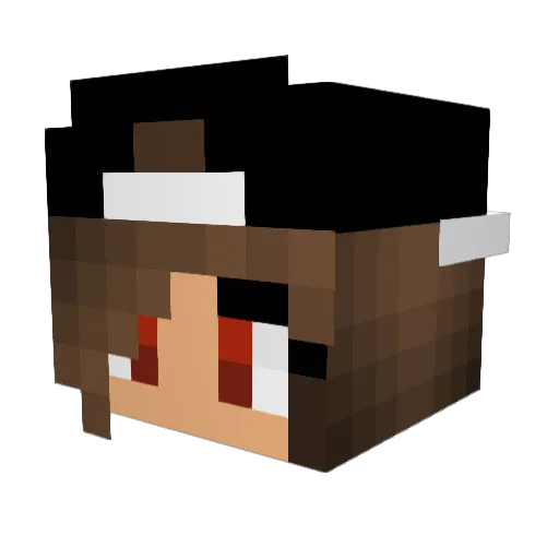 littlecrazyhero Minecraft avatar head, 3D render