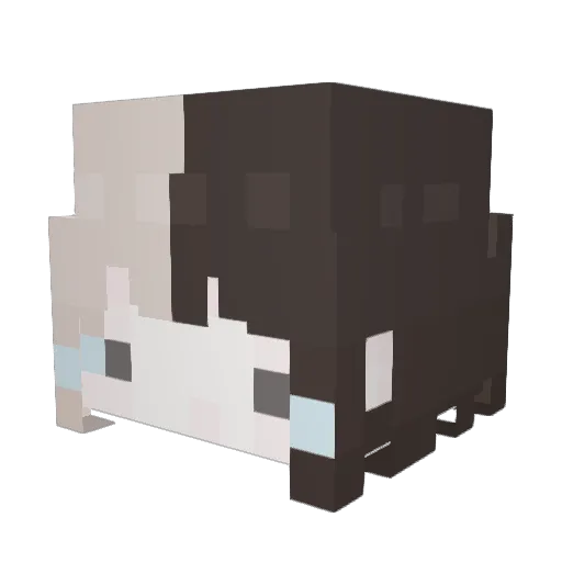 littlecrybaby Minecraft avatar head, 3D render