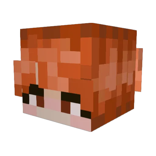 littlecryptids Minecraft avatar head, 3D render