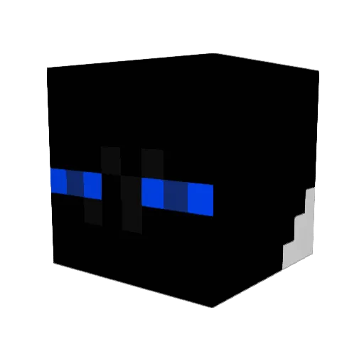 littledragon472 Minecraft avatar head, 3D render