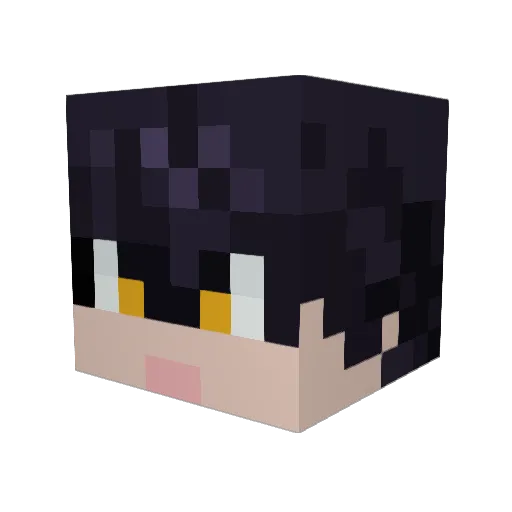 littleduckduck17 Minecraft avatar head, 3D render