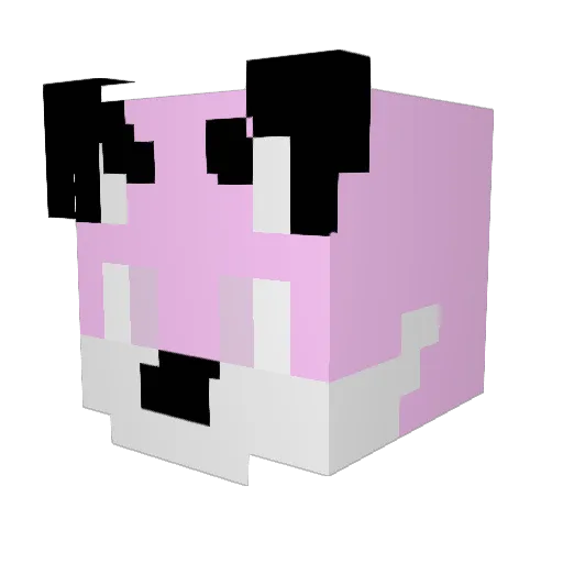 littlefagboy6969 Minecraft avatar head, 3D render