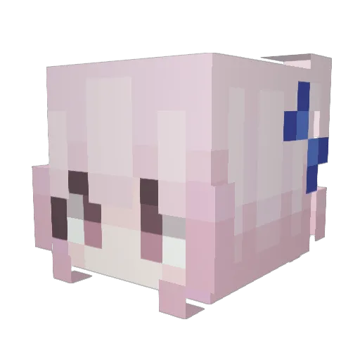 littlefish1224 Minecraft avatar head, 3D render