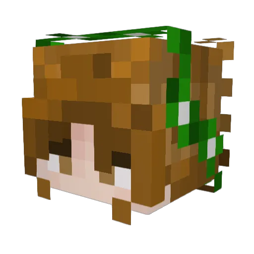 littleiry Minecraft avatar head, 3D render