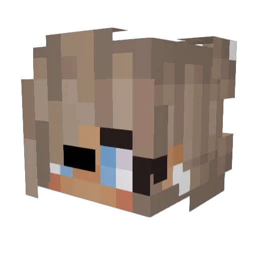 littleizzy221 Minecraft avatar head, 3D render
