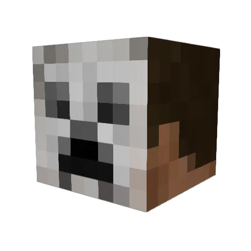 littlejay_001 Minecraft avatar head, 3D render