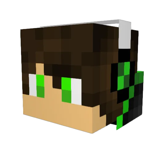 littlejedi2004 Minecraft avatar head, 3D render