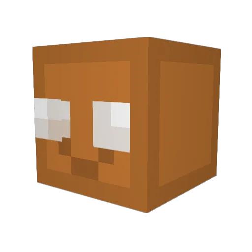 littlekill593 Minecraft avatar head, 3D render