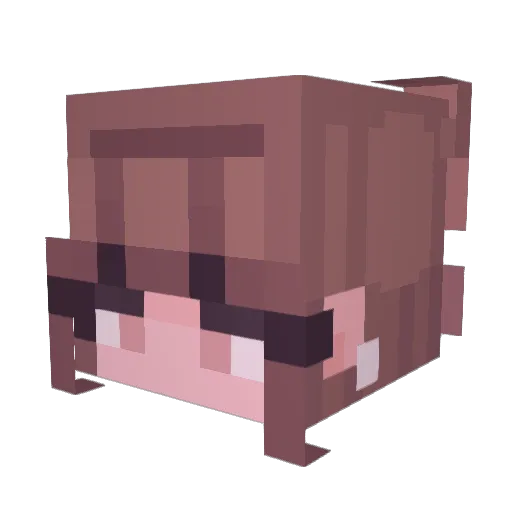 littlekitten3333 Minecraft avatar head, 3D render