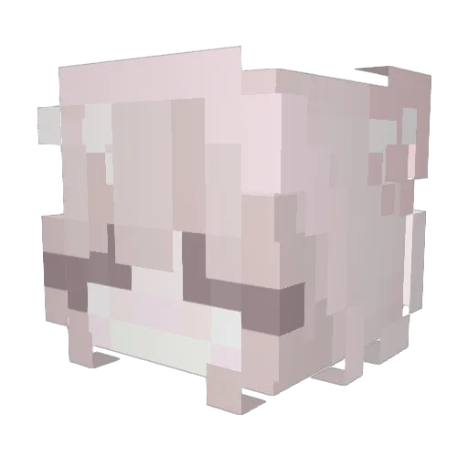 littlekittenz Minecraft avatar head, 3D render