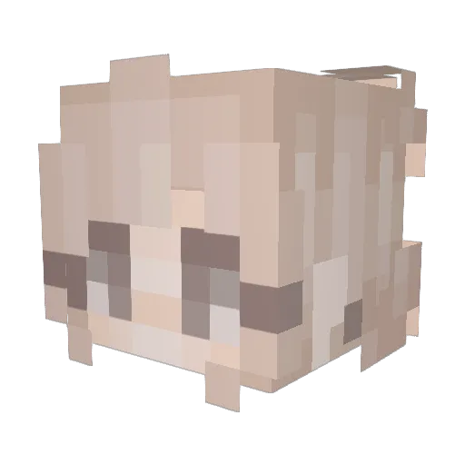 littlekittycat4 Minecraft avatar head, 3D render