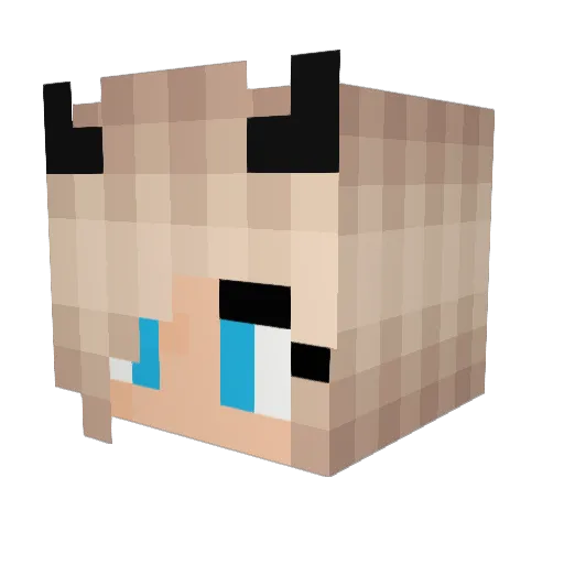 littlelegss Minecraft avatar head, 3D render