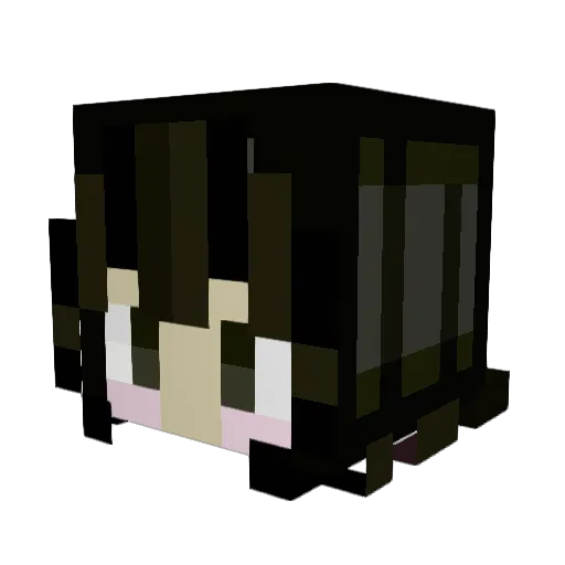 littlelestboi Minecraft avatar head, 3D render