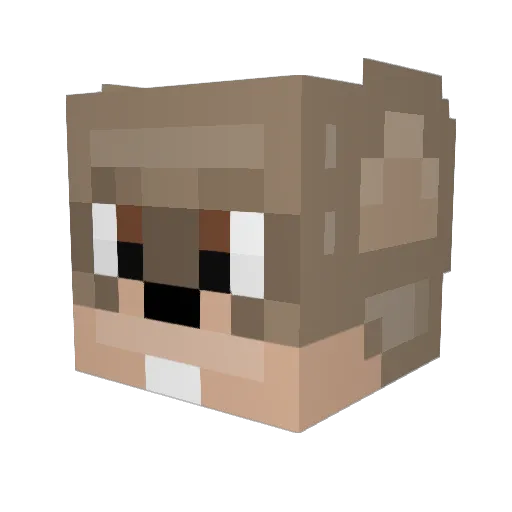 littlepear7 Minecraft avatar head, 3D render