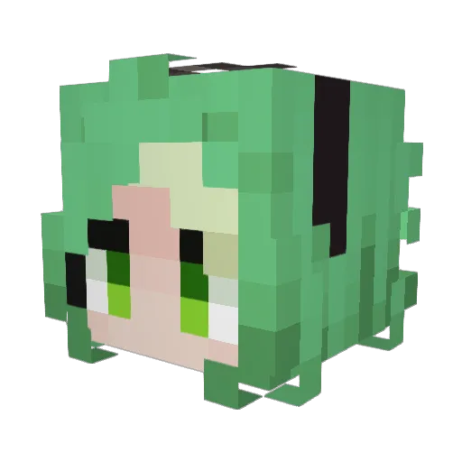 littlepetfrog2 Minecraft avatar head, 3D render