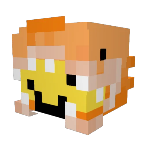 littlephoton Minecraft avatar head, 3D render