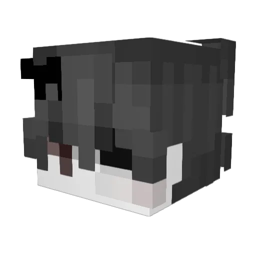 littlepizzarolls Minecraft avatar head, 3D render