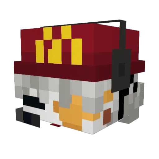littlerayzilla Minecraft avatar head, 3D render