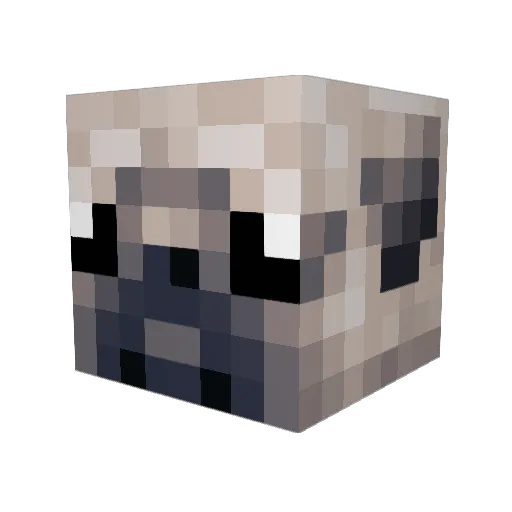 littlesnaper43 Minecraft avatar head, 3D render