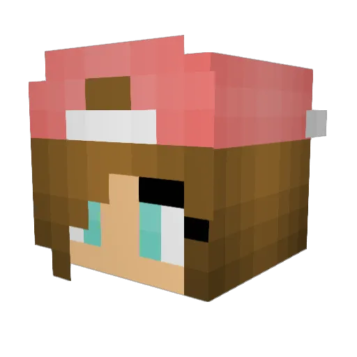 littlesnow3004 Minecraft avatar head, 3D render