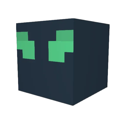 littlestarboy420 Minecraft avatar head, 3D render