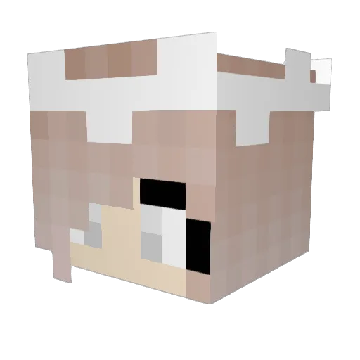 littlesunshinee Minecraft avatar head, 3D render