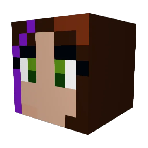 littleteddyb3ar Minecraft avatar head, 3D render