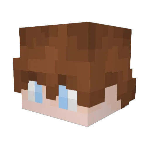 littlethings_ Minecraft avatar head, 3D render