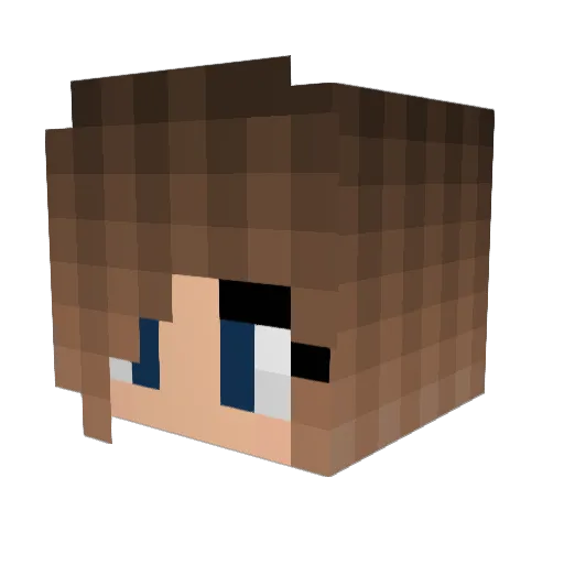 littletoaster47 Minecraft avatar head, 3D render