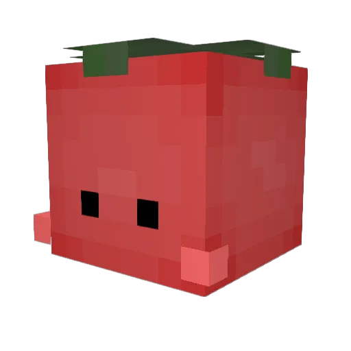 littletomato2004 Minecraft avatar head, 3D render