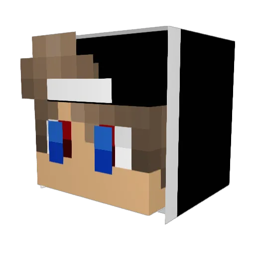 littleturtle937 Minecraft avatar head, 3D render
